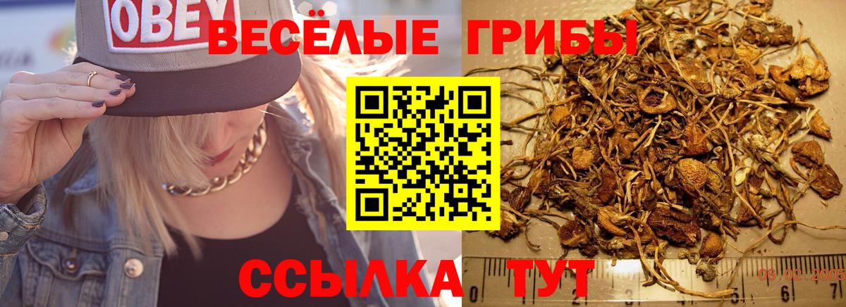 Галлюциногенные грибы мухоморы Арзамас